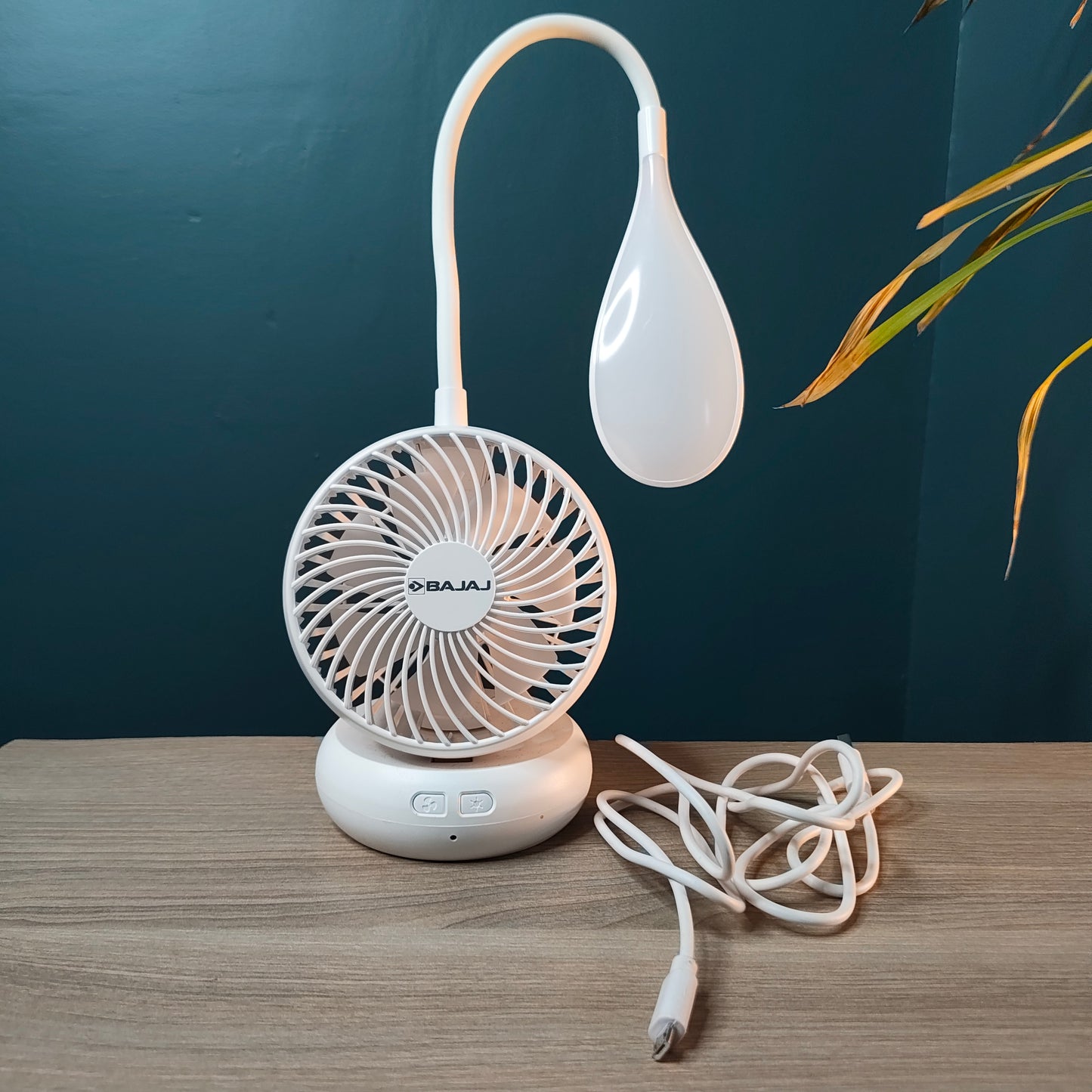 Bajaj Rechargeable Fan With Task Lighting (Refurbished)